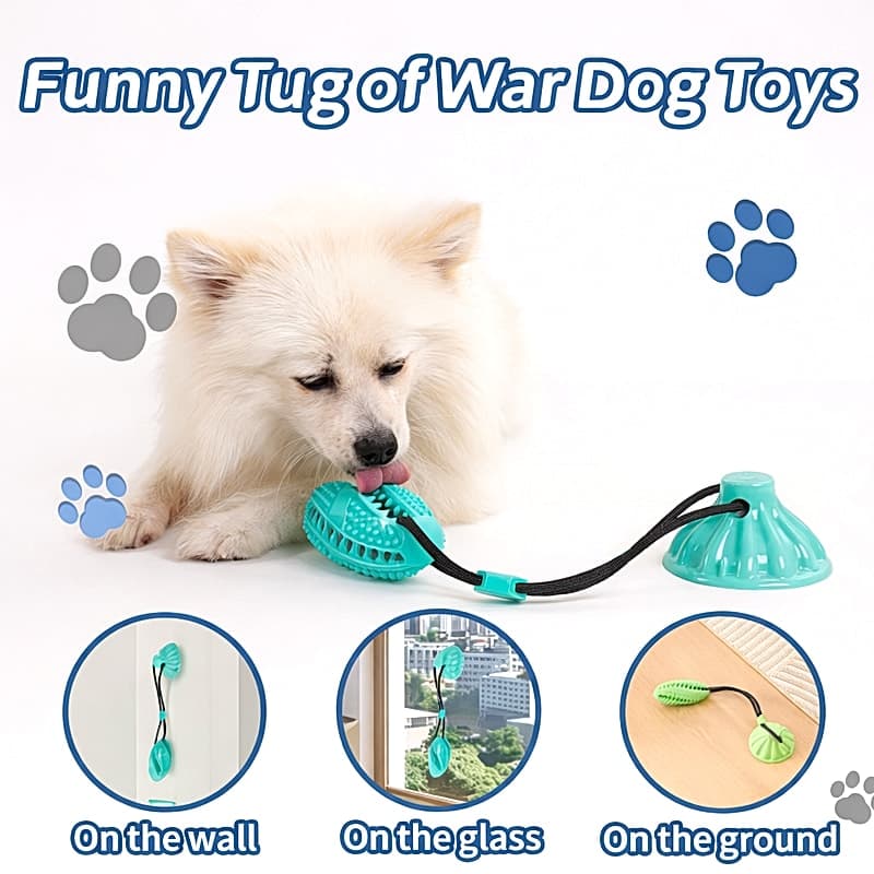 Pelota Mordedor con Ventosa para Perros