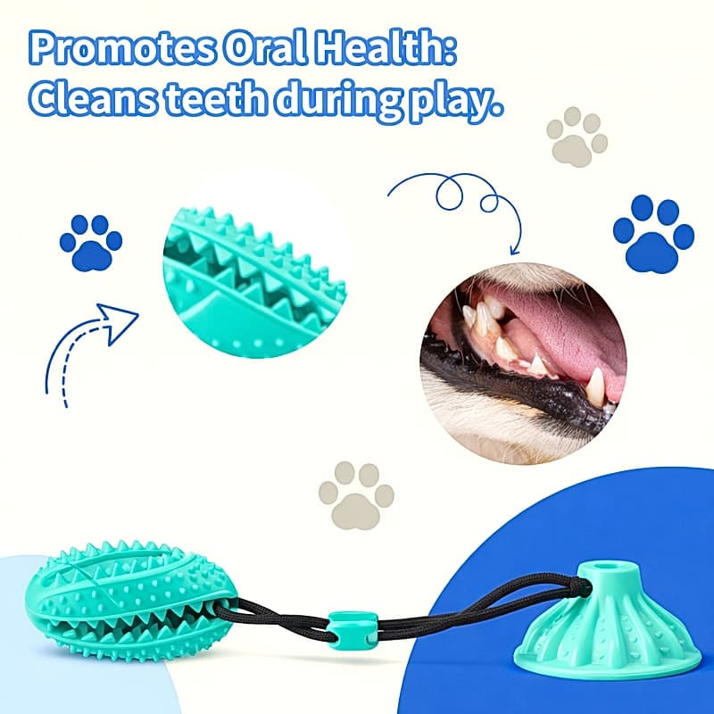 Pelota Mordedor con Ventosa para Perros - 2