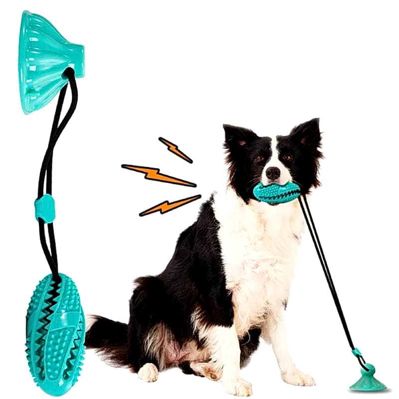 Pelota Mordedor con Ventosa para Perros - 4