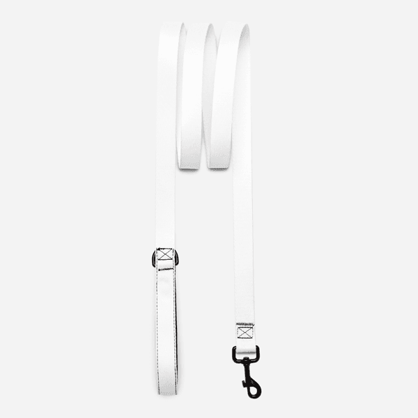 Correa Personalizada