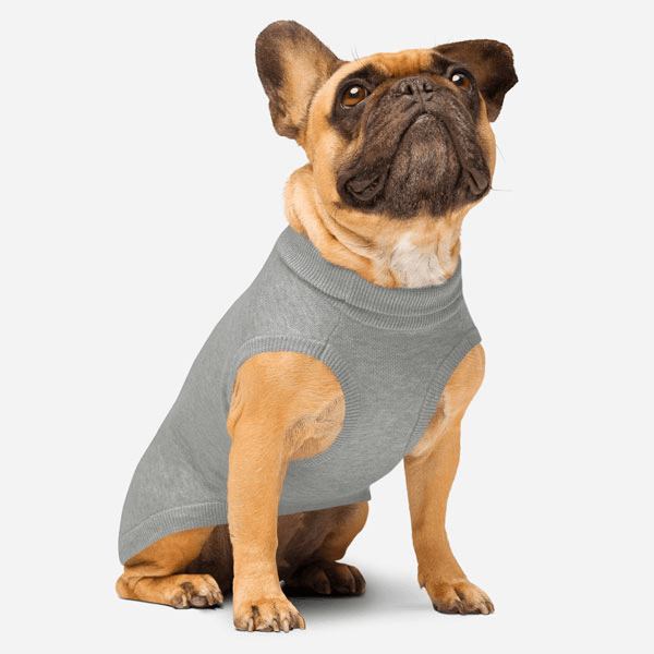 Jersey de Punto para Mascota